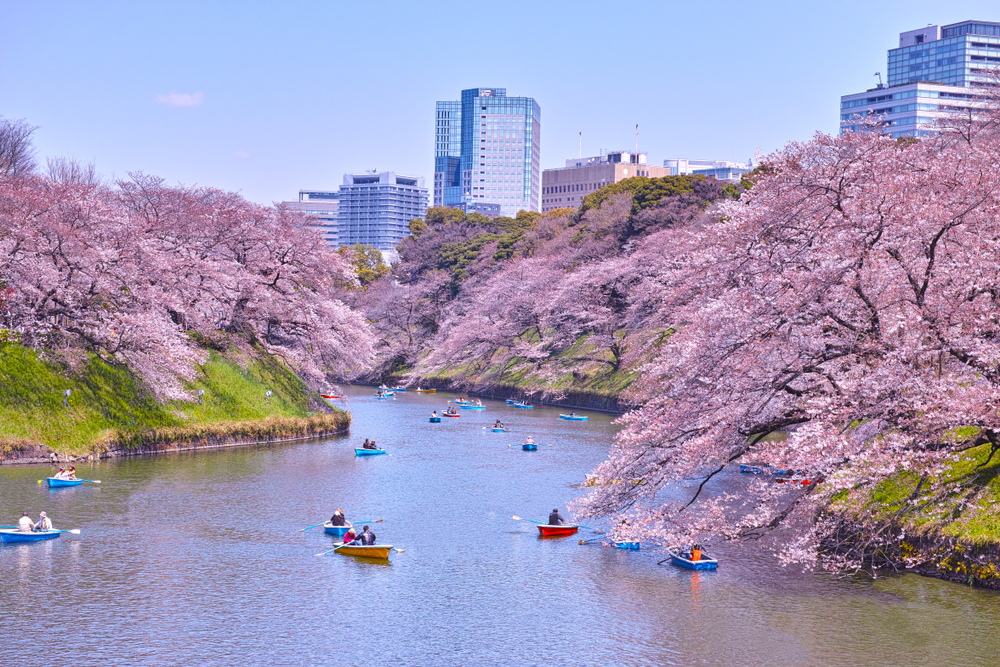 3月以降の説明会の心構え